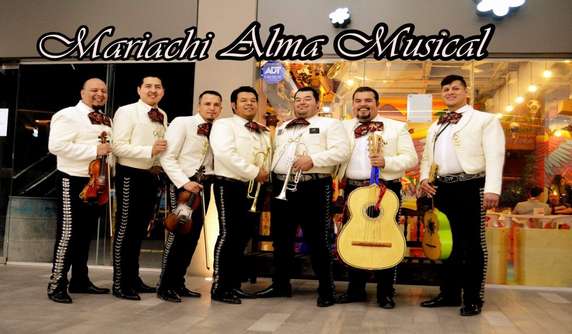 Imagen #4 de 'mariachi alma musical'