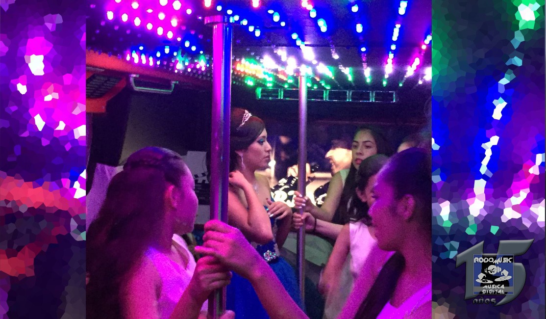 Imagen #2 de 'limo party bus'